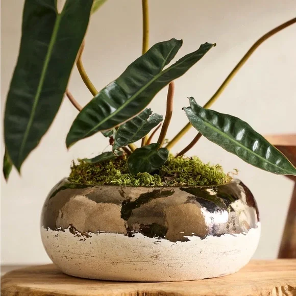 Anthropologie terrain metallic colorblock ceramic bowl planter, 7” NEW! - Picture 2 of 2
